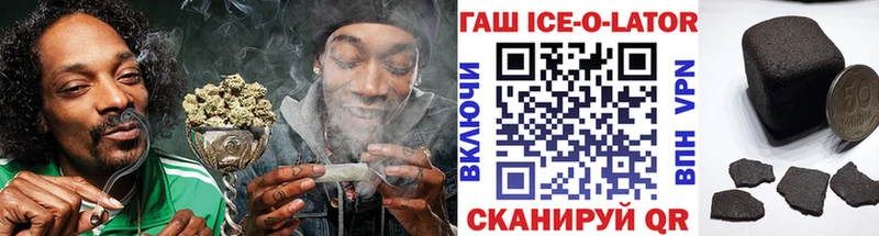 Купить  Фокино  ГАШ Изолятор 
