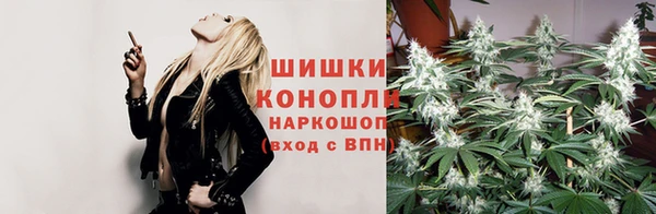 мяу мяу мука Белокуриха