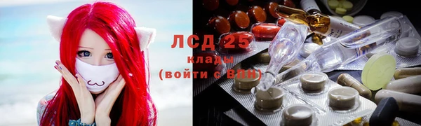 мяу мяу мука Белокуриха