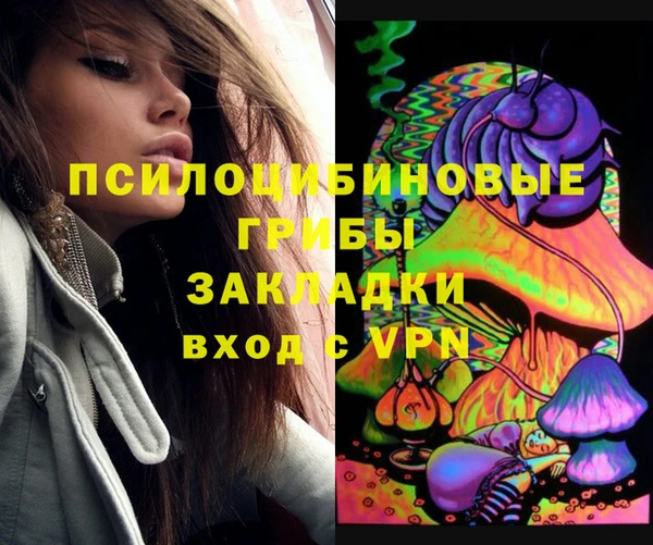 мяу мяу мука Белокуриха